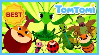 Small but Mighty Insects🦗🐜🕷 | Insect Songs Compilation | Songs about Bugs | Kids Song | TOMTOMI