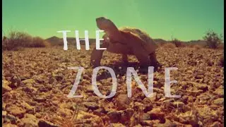 Enigma Experience - The Zone - Official Lyric Video