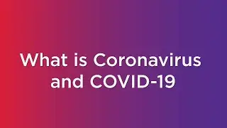 COVID-19 and Epilepsy: What is Coronavirus and COVID-19?