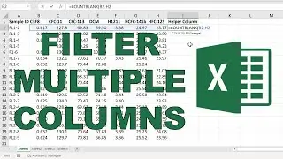 How to filter rows for blanks in different columns in excel