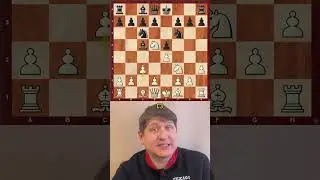 Самая коварная дебютная ловушка Шиманова и Стельмашенко