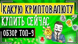 Какую криптовалюту купить сейчас выгодно, чтобы заработать в 2024 году и какие лучше покупать