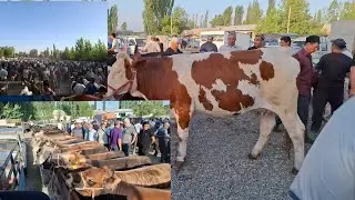 Фаргона Аввал мол бозори нархлари