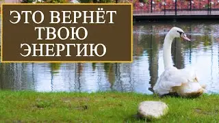 Это вернет твою энергию | Медитация | КПТ | Психология