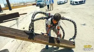 Crazy Things on AliExpress and Amazon That Will Blow Your Mind