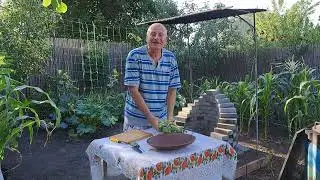 2 Quick Ways to Husk Corn: Proven Methods!