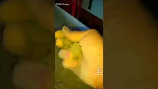 Анекдот про цемент)))