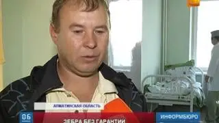 В Алматинской области мать с ребенком угодили под колеса  иномарки