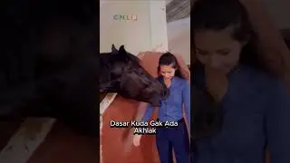 Soraya Rasyid Di Gigit Kuda 