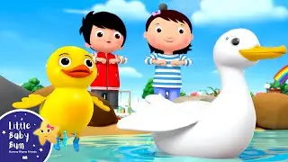 Five Little Ducks | Little Baby Bum - New Nursery Rhymes for Kids