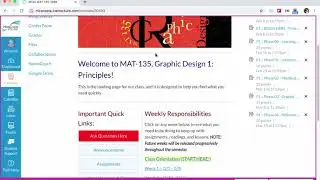 MAT 135 Orientation Spring 2020 Part 1