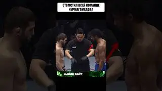 Одним ударом СЛОМАЛ всю команду Хабиба Нурмагомедова 😱 #mma #ufc #бой