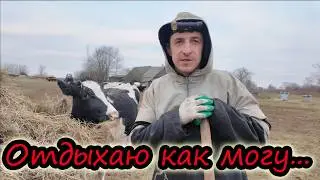 Деревенское счастье // И так бывает // Пополнение в хозяйстве // Жизнь на селе