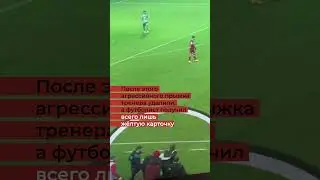 Дичь в чемпионате России по футболу: Футболист полетел двумя ногами на тренера. Его даже не удалили