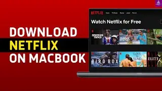 How to Download Netflix App on Mac in 2024