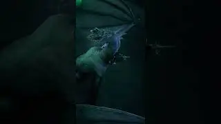 The Beauty of the Nazgul 