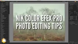 Top Tips for Nik Color Efex Pro Photo Editing