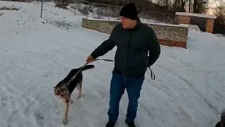 Поездка на премию DIY блогер, Вере отменили операцию и огород на окне