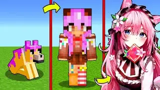 КАК МЕНЯЛАСЬ ДЕВУШКА СОБАКА ТОРТ МУТАНТ И ЕЕ ЖИЗНЕННЫЙ ЦИКЛ В МАЙНКРАФТ! ЭВОЛЮЦИЯ MINECRAFT ТРОЛЛИНГ