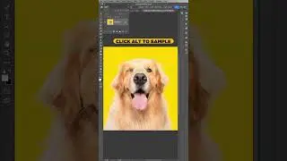 NEAT Photoshop Clone Tool Trick