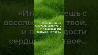 Секрет радости по Соломону: как найти наслаждение в каждом мгновении!