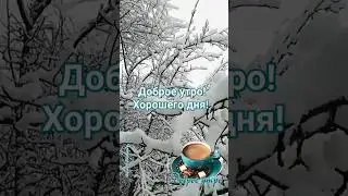 Доброе утро! Хорошего дня!
