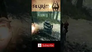 #Skyrim What The Actual What??  #gaming #skyrimroleplay #funnyclips  #funny