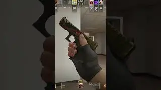 ACE with a pistol 2 