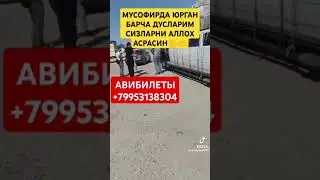 #tiktok