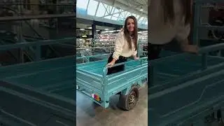 Грузовой электротрицикл 