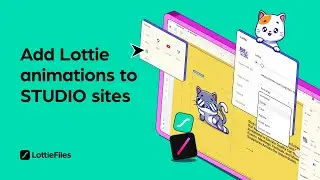 How to integrate Lottie animations on your STUDIO websites