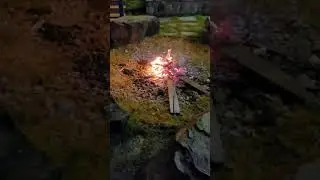 Jim Corbett National Park Uttrakhand Resort Mein Campfire  #jimcorbett #wildlife #shorts #trending