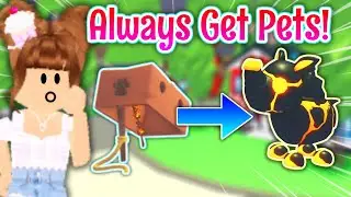 *IT WORKED*🤩Testing HACKS to ALWAYS Get PETS From the New Lures Fire Dimension Adopt Me 2024 Update
