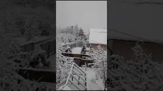 Выпало много снега в Подмосковье этой зимой ❄ вид с балкона котеджа