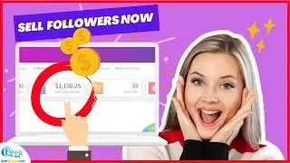 How I earned $1190,25 in 5 days from selling Followers Online !