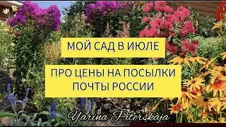 Мой сад в июле. Про тарифы на посылки Почты России.