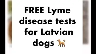 Get you dog tested for free for Lyme disease #latvia #latvianews