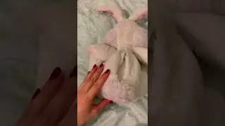Интерактивный заяц 