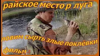 РАЙСКОЕ МЕСТО. р.ЛУГА . Ловим СЫРТЬ .ЗЛЫЕ ПОКЛЁВКИ.укусил  КЛЕЩ . фильм - 3.