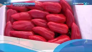 🌶  Тўрақўрғон тумани “Бахт” массивида жойлашган 10 гектарли тошлоқ майдонда