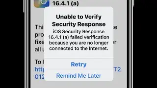 How to Fix Unable to Verify Security Response error in iOS 18 ?