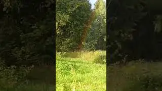 радуга рядом