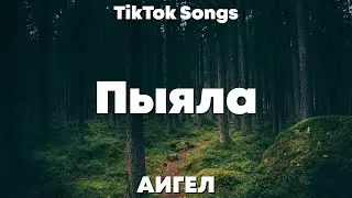 Пыяла - АИГЕЛ (Текст) - TikTok Song