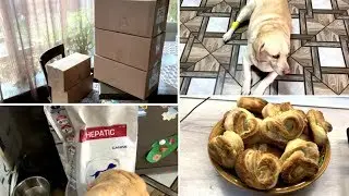 ВЛОГ/ПРОДУКТОВЫЙ НАБОР/ЗАБОЛЕЛА СОБАКА/ОЧЕНЬ ВКУСНЫЕ БУЛОЧКИ