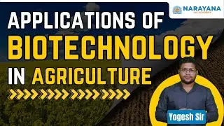 Applications of Biotechnology in Agriculture | Science and Technology | Narayana IAS Academy