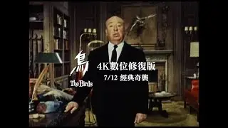 7.12《鳥 The Birds》4K數位修復版｜經典重映奇襲大銀幕、希區考克與你有約