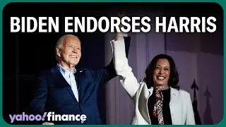 Biden endorses Harris for 2024: A look at the VPs policies