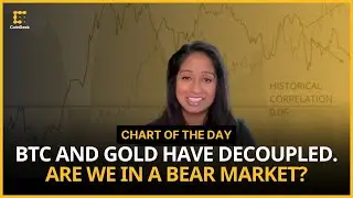 Bitcoin Decouples From Gold. Is Crypto in a Bear Market Again?