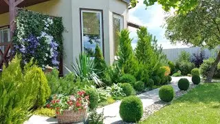 Сколько Посадить Хвойных на Участке🌲 Хвойные в Ландшафтном дизайне нашего Участка🏠 
