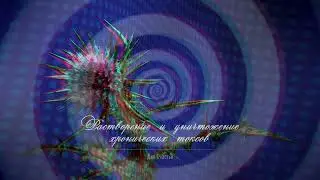 ИЗБАВИТСЯ ОТ ТОКСОВ В ОКРУЖЕНИИ • Медитативная практика для создания идеальной среды